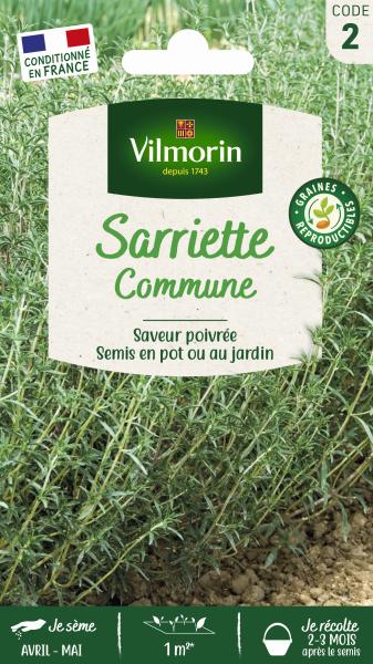 Aromatiques - Sarriette Commune - face recto